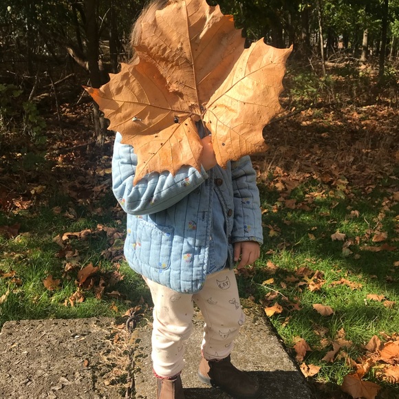 Gap 4T denim sweater jacket - Picture 3 of 6